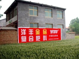 西峡如何让墙体广告展现最大化效果